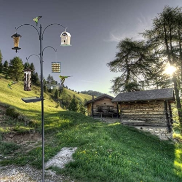 Ashman Premium Bird Feeding Station Kit for Garden