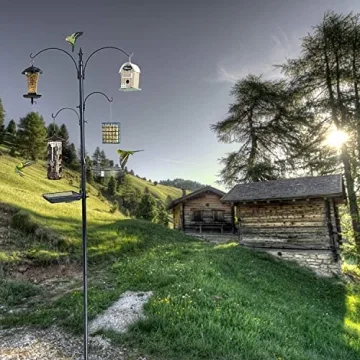 Ashman Premium Bird Feeding Station Kit for Garden