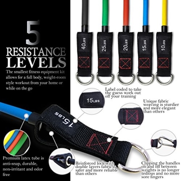 heFitLife Resistance Bands Set - Stackable up to 110 lbs