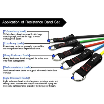 heFitLife Resistance Bands Set - Stackable up to 110 lbs