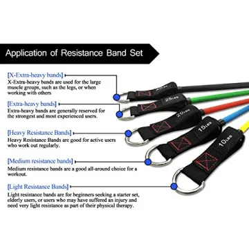 heFitLife Resistance Bands Set - Stackable up to 110 lbs