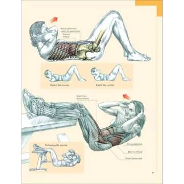 Delavier's Core Training Anatomy