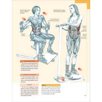 Delavier's Core Training Anatomy