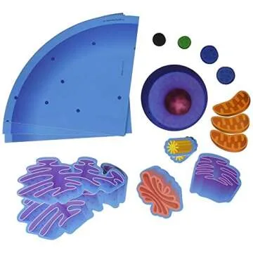 Learning Resources Giant Magnetic Animal Cell - 18 Piece Set, Boys and Girls Science Learning Tools, Homeschool and Classroom Supplies