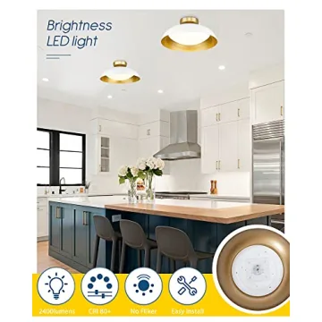 Kudos Flush Mount Light Fixture for Elegant Spaces