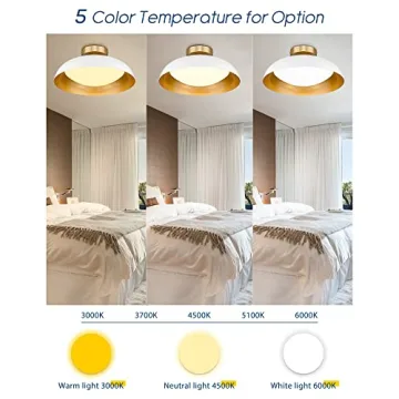 Kudos Flush Mount Light Fixture for Elegant Spaces