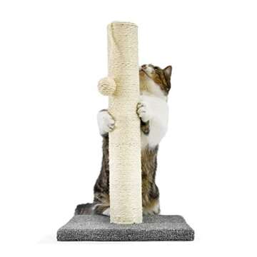 InnoPet Cat Scratching Post with Hanging Ball for All Cats