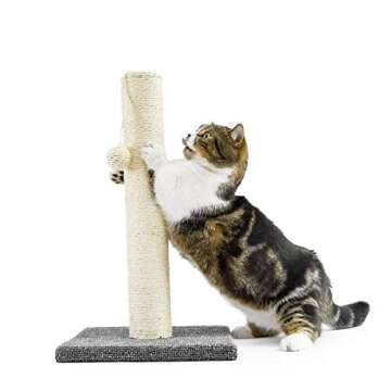 InnoPet Cat Scratching Post with Hanging Ball for All Cats