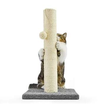 InnoPet Cat Scratching Post with Hanging Ball for All Cats