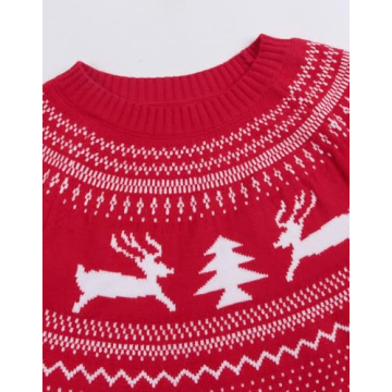 Charming Fair Isle Pullover Sweater for Women