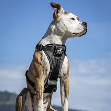 Kurgo Tru-Fit Smart Harness for Dogs with Seatbelt Tether