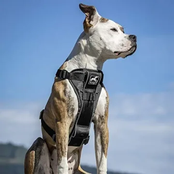 Kurgo Tru-Fit Smart Harness for Dogs with Seatbelt Tether