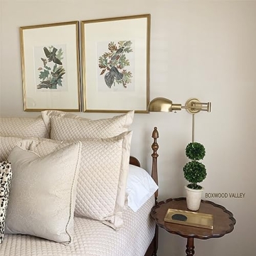 Real Preserved Boxwood Double Ball Topiary in Terracotta Planter