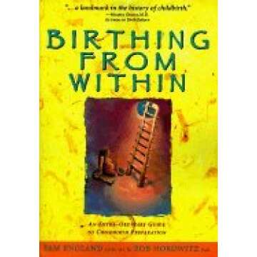 Birthing from Within: An Extra-Ordinary Guide to Childbirth Preparation (Revised)