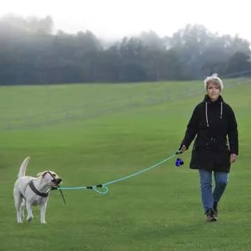 PLUTUS PET Leash for Safety and Comfort on Walks