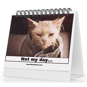 Cat Lover Gifts for Women - Funny Desk Signs & Office Decor | MoodyCards with Cat Memes | Ideal Cowo...