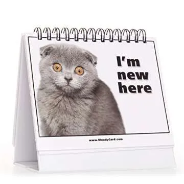 Cat Lover Gifts for Women - Funny Desk Signs & Office Decor | MoodyCards with Cat Memes | Ideal Coworker & Funny Gifts for Colleagues | Cool Desk Accessories for Office, Home & Cubicle