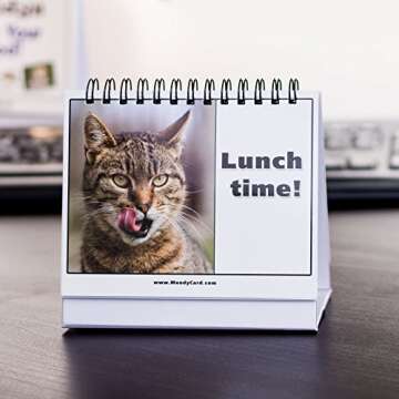 Cat Lover Gifts for Women - Funny Desk Signs & Office Decor | MoodyCards with Cat Memes | Ideal Coworker & Funny Gifts for Colleagues | Cool Desk Accessories for Office, Home & Cubicle