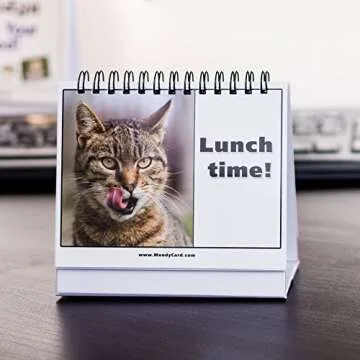Cat Lover Gifts for Women - Funny Desk Signs & Office Decor | MoodyCards with Cat Memes | Ideal Coworker & Funny Gifts for Colleagues | Cool Desk Accessories for Office, Home & Cubicle