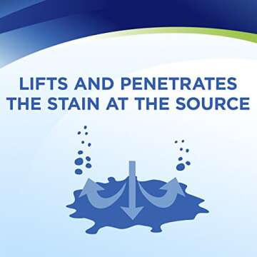 Woolite InstaClean Permanent Stain Remover, 2 Pack, 21799