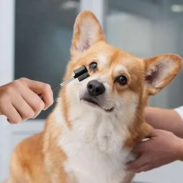 2 Pcs Double-Sided Grooming Comb - Tear Stain Remover and Eye Cleaning Brush for Dogs and Cats