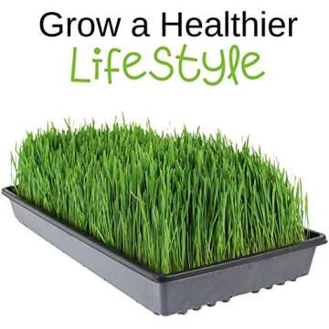 Soft White Wheat - Organic - 35 Lbs. Resealable Bucket - Handy Pantry Brand - Perfect for Food Storage, Flour, Baking, Sprouting & More