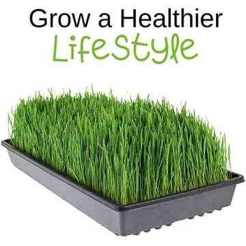 Soft White Wheat - Organic - 35 Lbs. Resealable Bucket - Handy Pantry Brand - Perfect for Food Storage, Flour, Baking, Sprouting & More