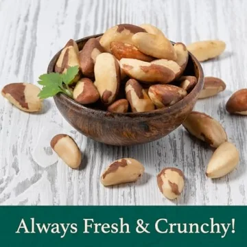 32oz Raw Brazil Nuts Fresh Resealable Bag Vegan Kosher Nut