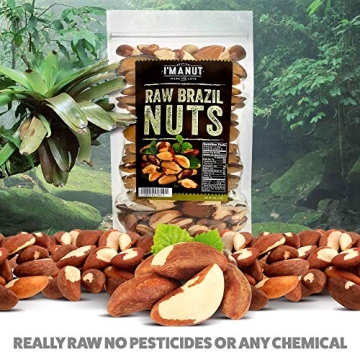32oz Raw Brazil Nuts Fresh Resealable Bag Vegan Kosher Nut