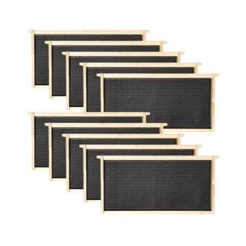 Amish Langstroth Bee Box with Frames and Foundations