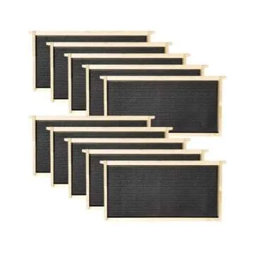 Amish Langstroth Bee Box with Frames and Foundations