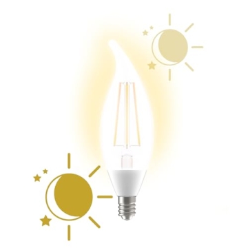 GE LED+ Dusk to Dawn Bulbs - Automatic Outdoor Security Lights