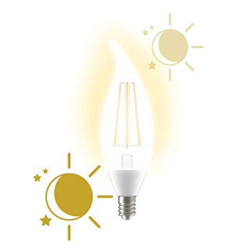 GE LED+ Dusk to Dawn Bulbs - Automatic Outdoor Security Lights