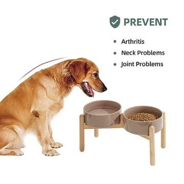 Havniva Ceramic Raised Dog Bowl for Large Breed Dogs