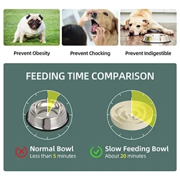 Havniva Ceramic Slow Feeder Bowl for Medium and Large Dogs