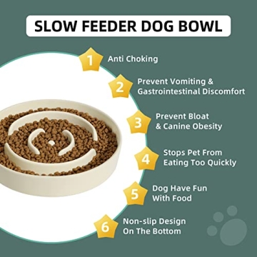 Havniva Ceramic Slow Feeder Bowl for Medium and Large Dogs