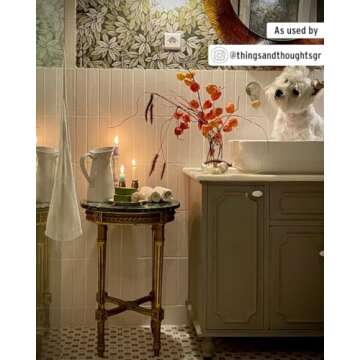 Annie Sloan Chalk Paint in French Linen - No Prep Needed
