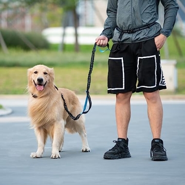 iYoShop Hands-Free Dog Leash Ideal for Running and Training