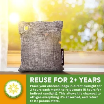 Natural Bamboo Charcoal Odor Eliminator Bags for Home