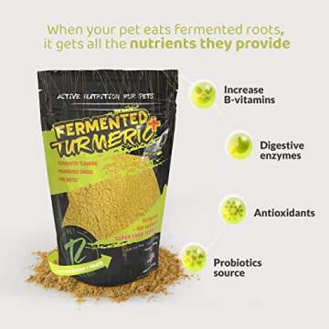 ROGUE PET SCIENCE Turmeric Plus for Dogs - Tasty Powdered Ginger & Fermented Turmeric Dog Food Topper - Supports Joint Inflammation, Allergies, Gut and Digestion - Helps Reduce Swelling(5.25 oz)