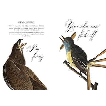 Effin' Birds: A Field Guide to Identification