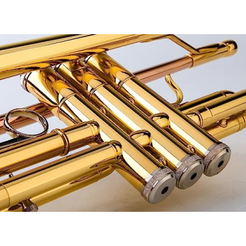 Glory Bb Trumpet for Beginners with Case and Accessories