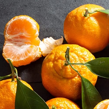 Classic Deluxe Fruit Basket for Any Occasion