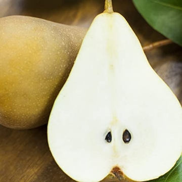 Classic Deluxe Fruit Basket for Any Occasion