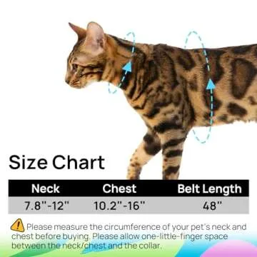 Adjustable Escape Proof Cat Harness and Leash Set