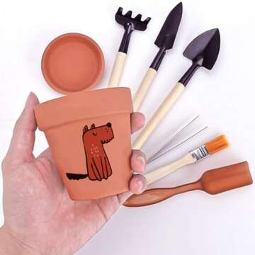 Nilos 12 Pack 3 Inches Clay Pots for Plants, Terracotta Pots, Mini Plant Pots for Succulent Display, Indoor, Outdoor, Home, Office, Wedding Decor