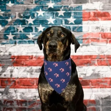 PTDECOR 4th of July Dog Bandanas - Fun & Fashionable