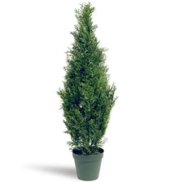 36 Inch Artificial Arborvitae Shrub with Pot - Realistic & Maintenance-Free