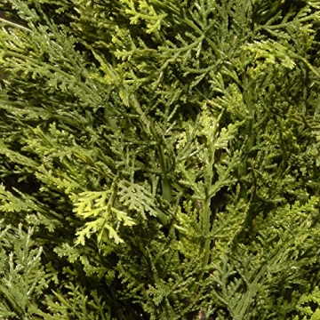 Artificial Arborvitae Shrub 36 Inch Realistic No Maintenance