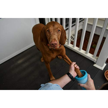 Dexas MudBuster Portable Dog Paw Cleaner for Mud-Free Homes